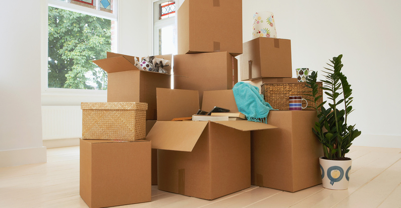 Moving Companies vs DIY: 5 Things You Won't Get