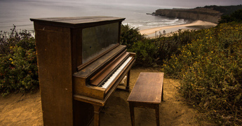 How to Move a Piano Safely for a Local Mover in San Diego