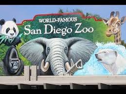 san diego zoo i